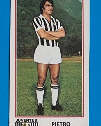 PIETRO ANASTASI 190 figurina 1974 75 Calcio PANINI