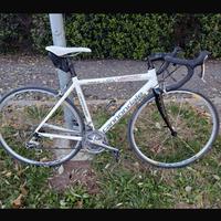 CANNONDALE SYNAPSE DA CORSA
