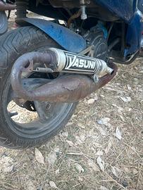 Yasuni per piaggio