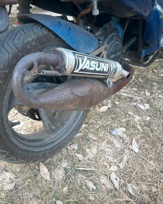 Yasuni per piaggio