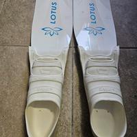 Cetma Lotus (41-42)