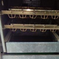 Incubatrice o tutta schiusa fiem usata