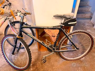 2 biciclette  solo in coppia