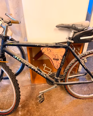 2 biciclette  solo in coppia