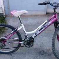 Montambike 