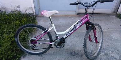 Montambike 