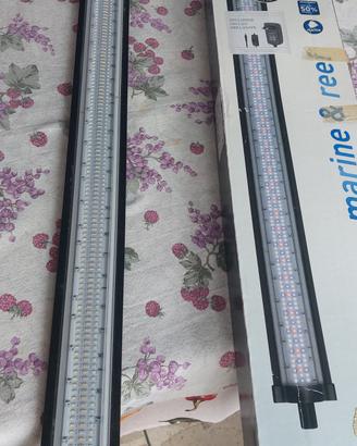 lampade a LED per acquario marino 