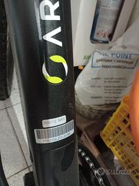 Bici assistita