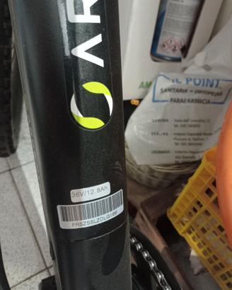 Bici assistita