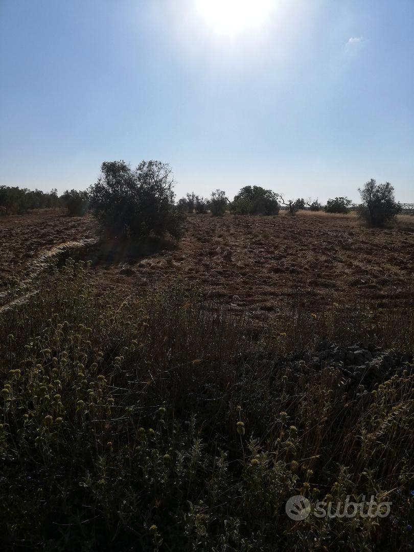 Terreno agricolo - Altro