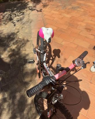 Bicicletta
