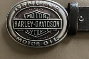 Fibbia e cintura Harley