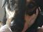 Immagine 6