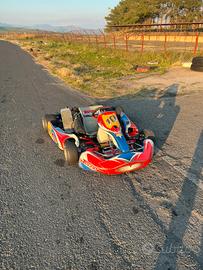 Go Kart Rotax 125