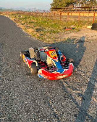 Go Kart Rotax 125
