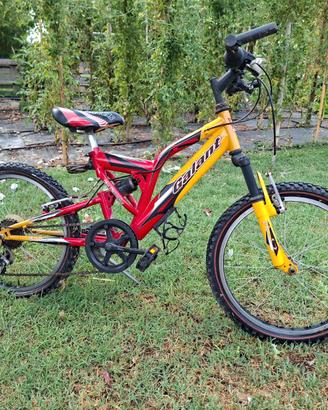 Bicicletta  bimbo 6-10 anni
