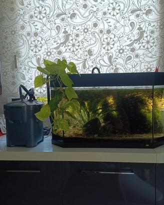 acquario 100lt