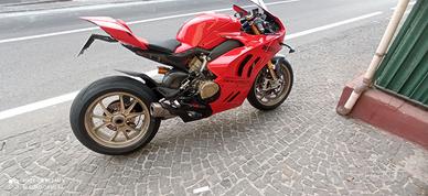 Panigale V4 v4s