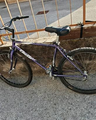 Mountain bike Moser
