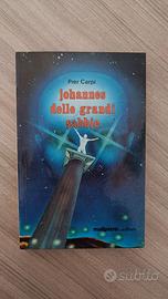 libro Johannes delle Grandi Sabbie di Pier Carpi