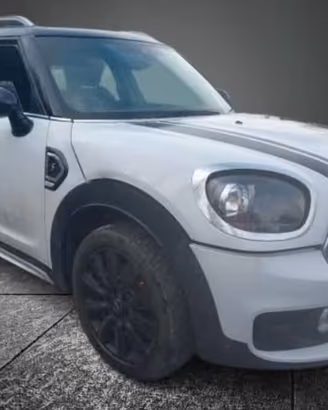 Mini Cooper Countryman S F60 2.0 anno 2019 per ric