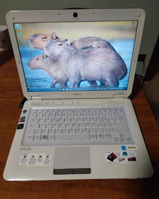 Laptop Notebook Sony Vaio CS-11S