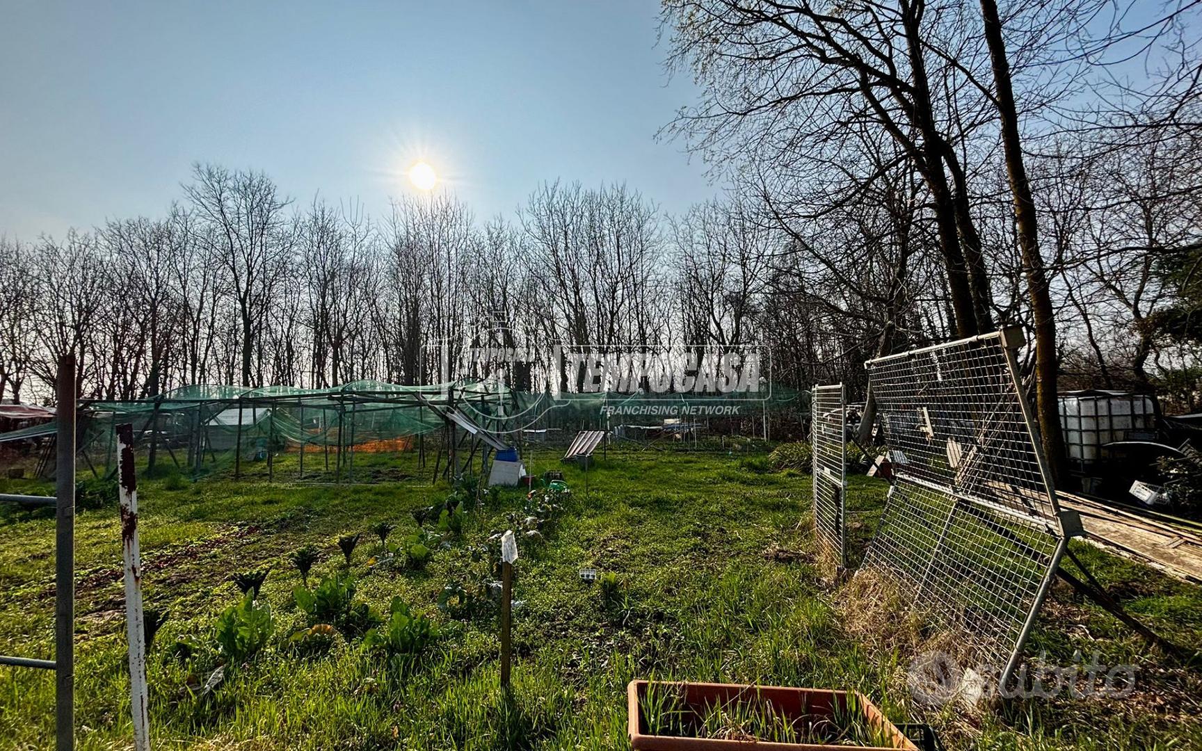 TERRENO AGRICOLO - Vista 4