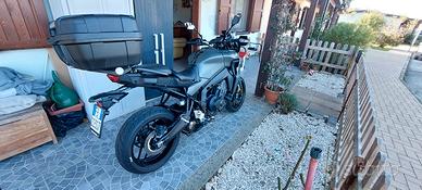 Splendida yamaha tracer 9 2023 