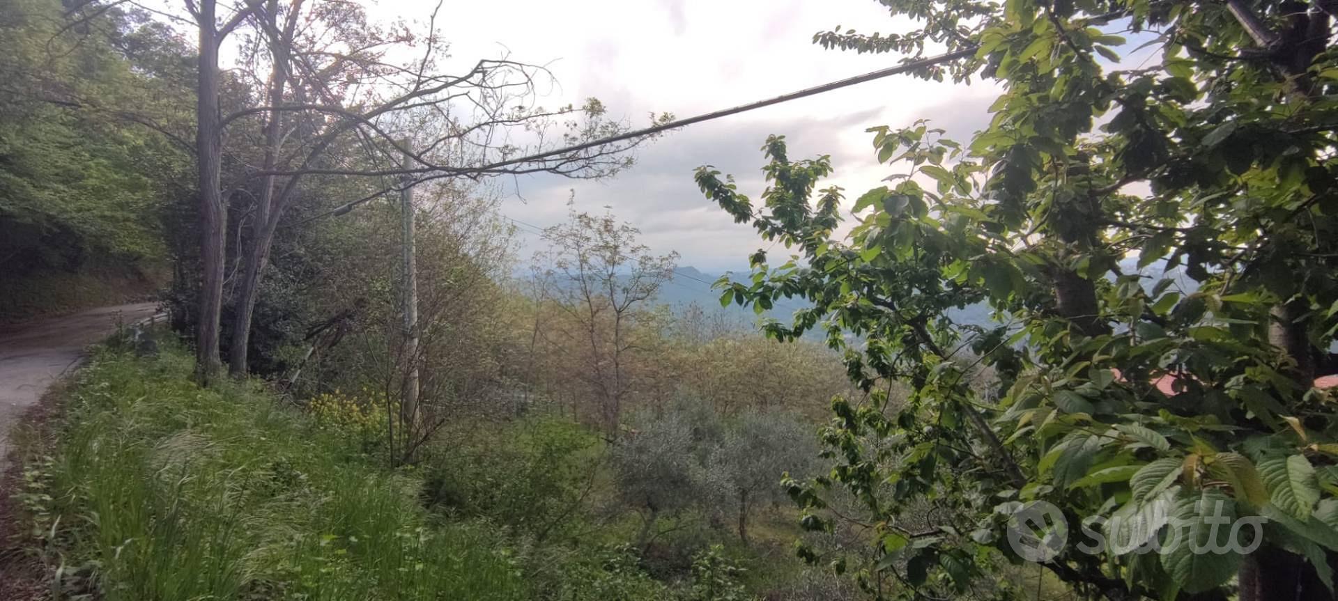 Terreno Agricolo - Ascoli Piceno - Vista 2