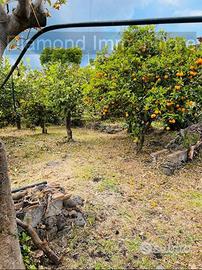 Terreno agricolo e deposito Fiumefreddo di Sicilia