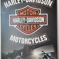 quadro harley davidson
