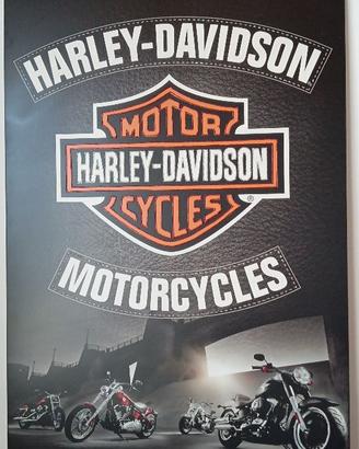 quadro harley davidson