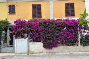 Casa vacanza cesano