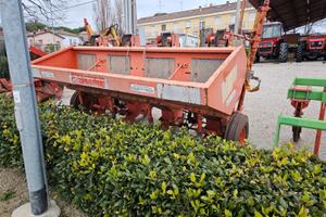 Trapianta patate grimme 4 file