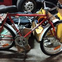 Bici mountain bike