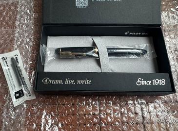 Penna stilografica Pilot Custom 742 14k FM