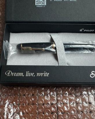 Penna stilografica Pilot Custom 742 14k FM