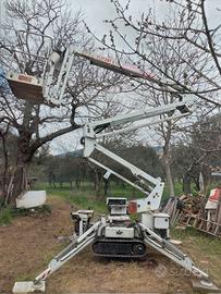 Piattaforma cingolata aerea