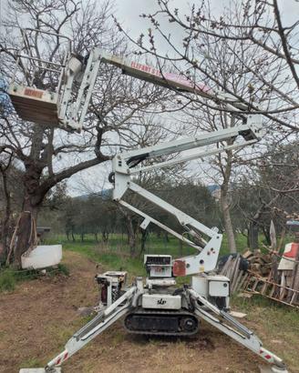 Piattaforma cingolata aerea