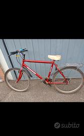 BICI IN PERFETTE CONDIZIONI