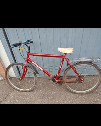 BICI IN PERFETTE CONDIZIONI
