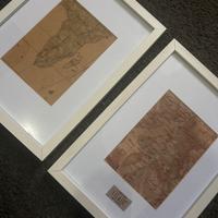 Coppia di quadri ALVIERO MARTINI 1A CLASSE