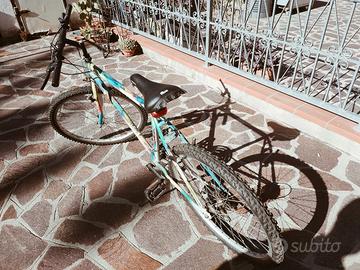 bicicletta 
