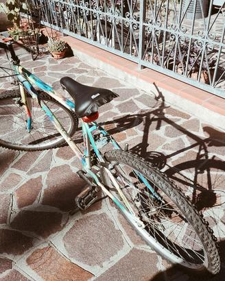 bicicletta 