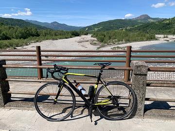 Bicicletta Carrera Veleno Ts