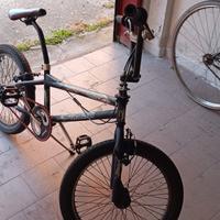 bmx lombardo