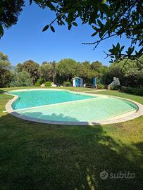 Porto rotondo 3 strutture