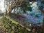 Immagine 26
