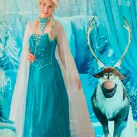 FROZEN. ELSA Costume per un animatore