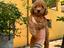 Immagine 6